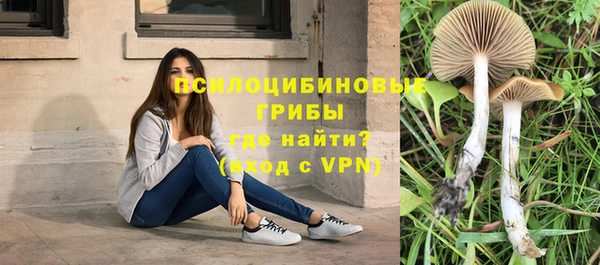 соль ск Алексеевка