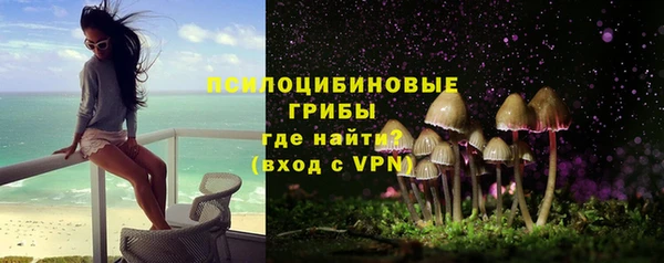 героин Алексин