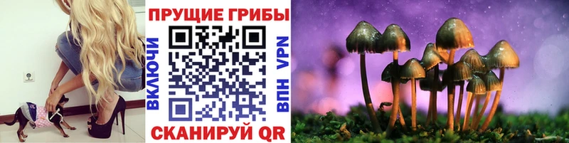 Псилоцибиновые грибы прущие грибы Апрелевка